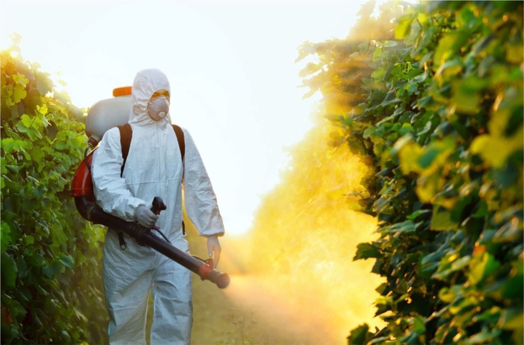 aplicando inseticida.jpg